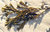 Seagreens Wild Seaweed Arctic Algues Capsules